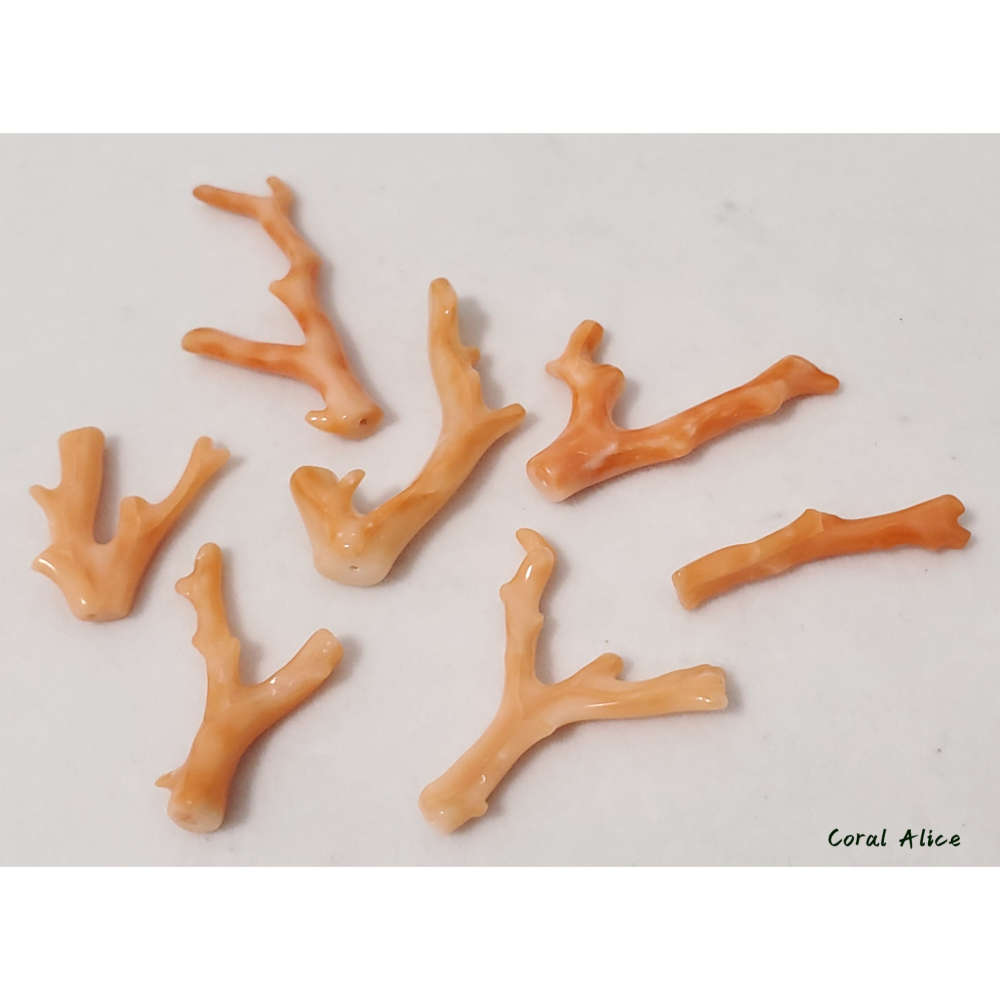 🌟Coral珊寶手作-天然深水珊瑚自然枝(頂半孔) CO2P1-961-細節圖9