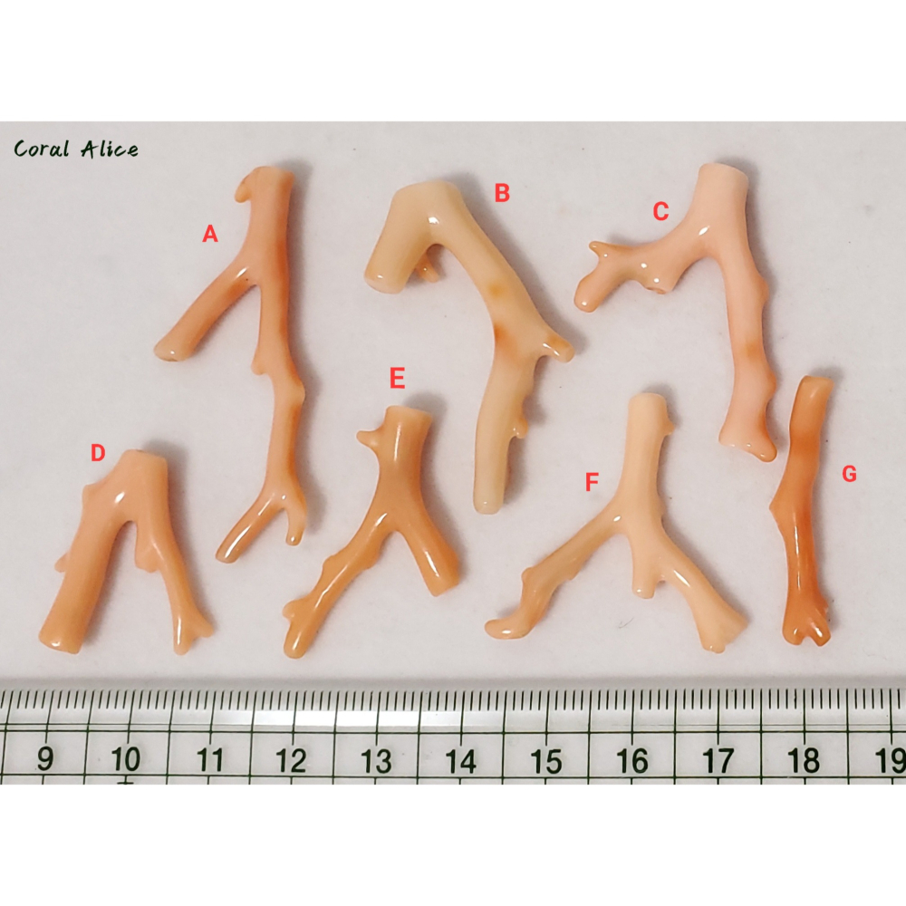 🌟Coral珊寶手作-天然深水珊瑚自然枝(頂半孔) CO2P1-961-細節圖11