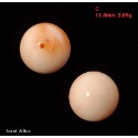 🌟Coral珊寶手作-天然深水珊瑚圓珠(半孔) 8.6-12.0mm CO2P1-963-規格圖10
