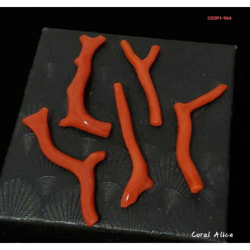 🌟Coral珊寶手作-天然沙丁珊瑚/紅珊瑚自然枝 CO2P1-964