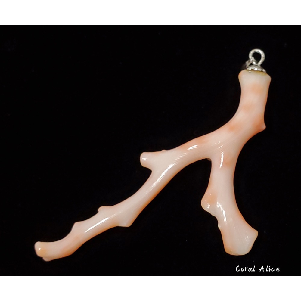 🌟Coral珊寶手作-天然深水珊瑚自然枝項墜 59.9mm CO2P1-965-細節圖2