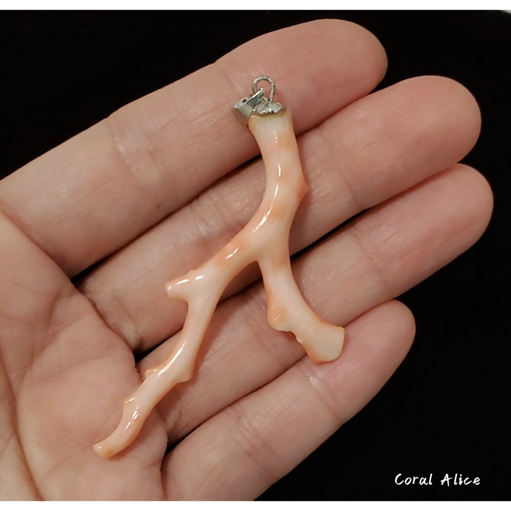 🌟Coral珊寶手作-天然深水珊瑚自然枝項墜 59.9mm CO2P1-965-細節圖5