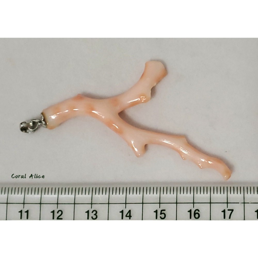🌟Coral珊寶手作-天然深水珊瑚自然枝項墜 59.9mm CO2P1-965-細節圖10