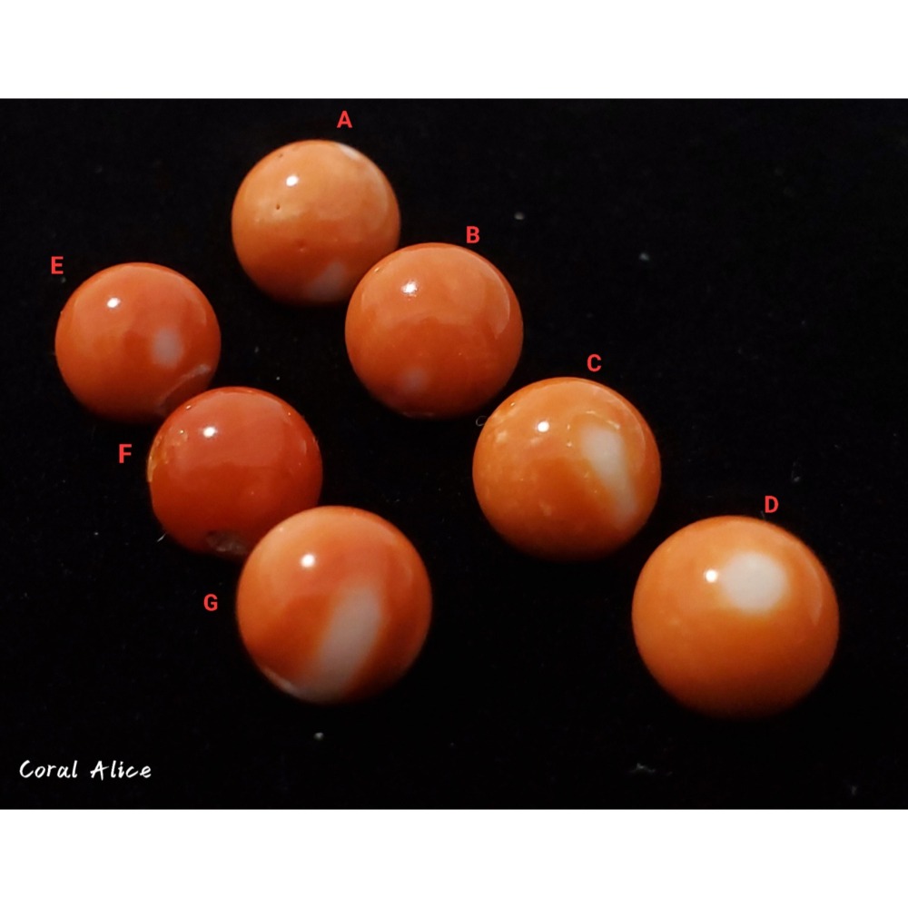 🌟Coral珊寶手作-天然momo珊瑚/阿卡珊瑚圓形裸石 #鑲嵌 #金工 #寶石珊瑚 #珠寶設計 CO2P1-977-細節圖6