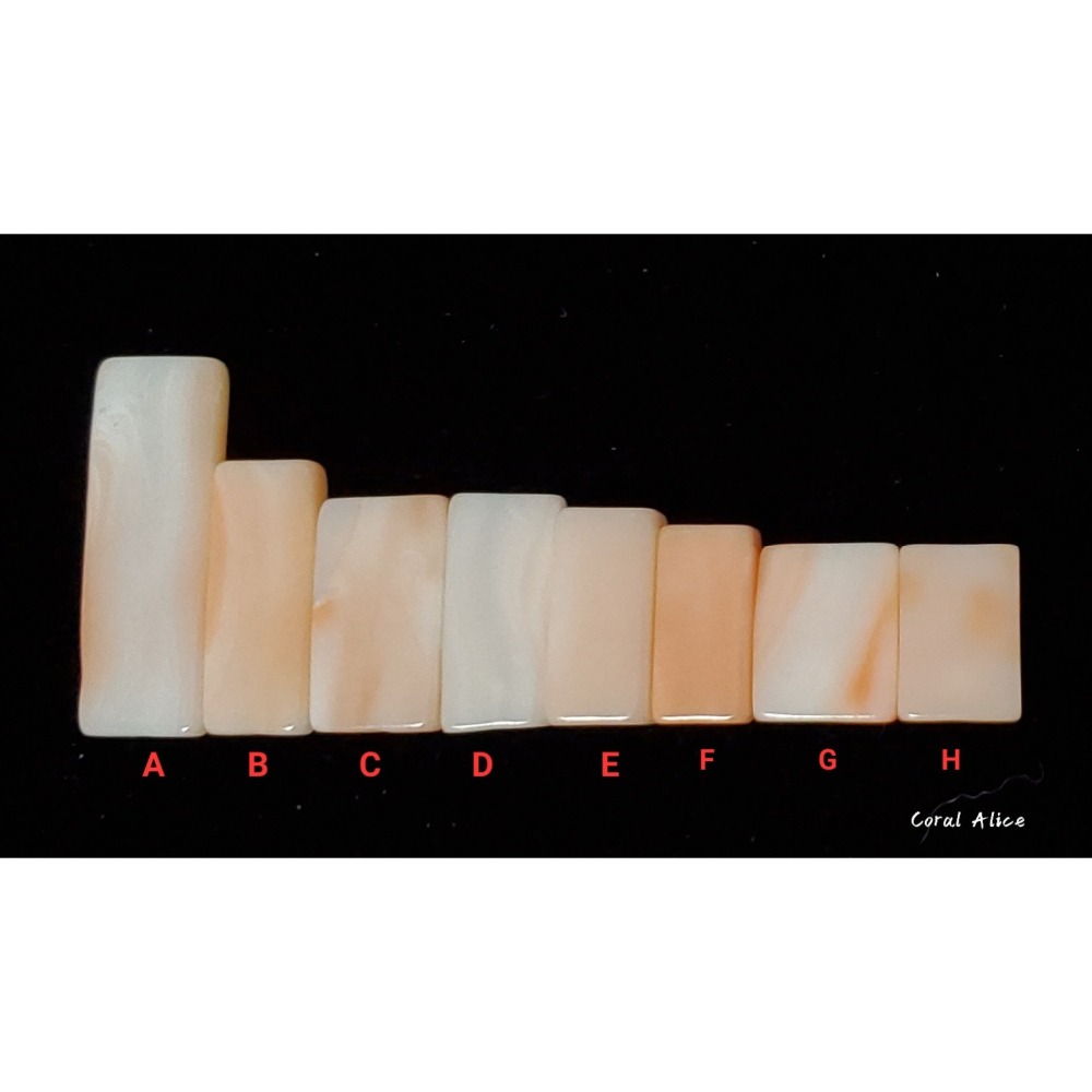 🌟Coral珊寶手作-天然淺水珊瑚方型裸石(頂半孔) CO2P1-990-細節圖6