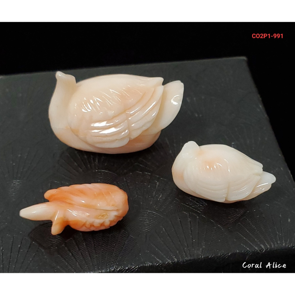 Coral珊寶手作-天然深水珊瑚⁄白珊瑚手工雕刻 白珊瑚 彫刻 #