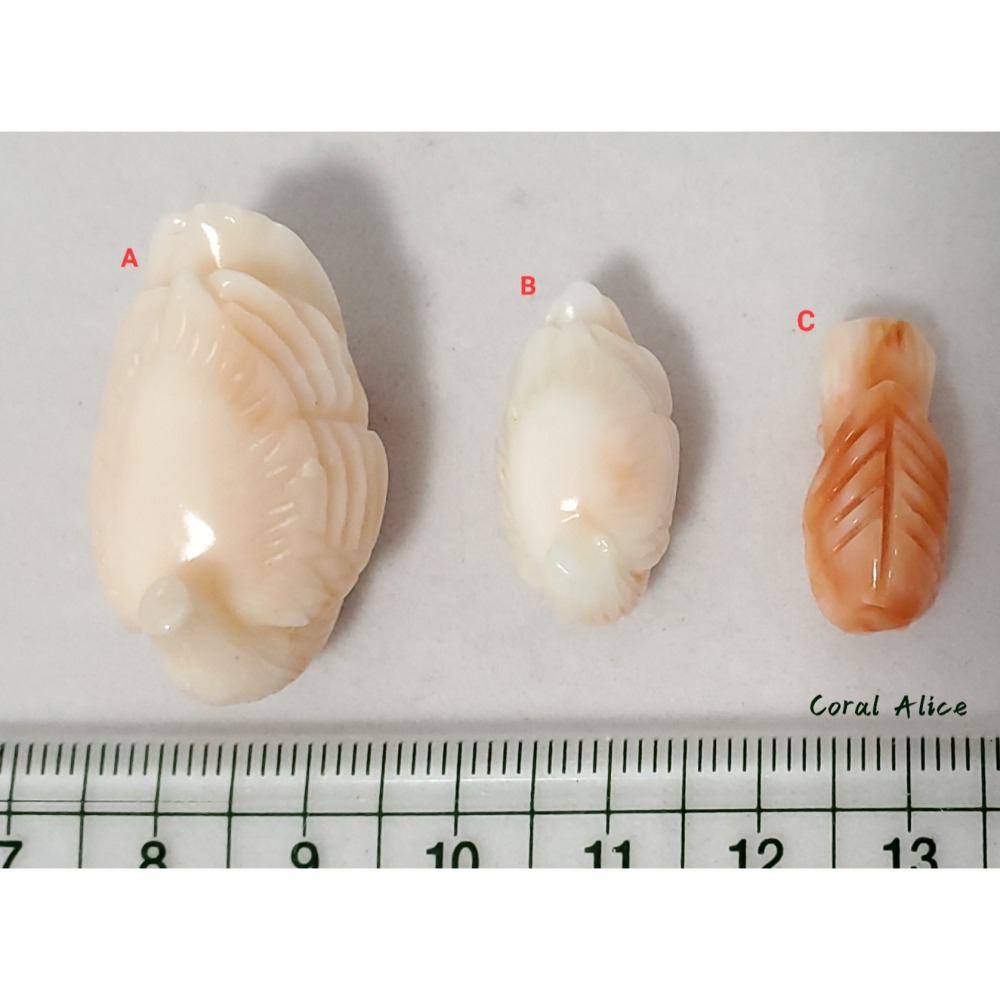 🌟Coral珊寶手作-天然深水珊瑚/白珊瑚手工雕刻 #鑲嵌 #金工 #珠寶設計 CO2P1-991-細節圖8