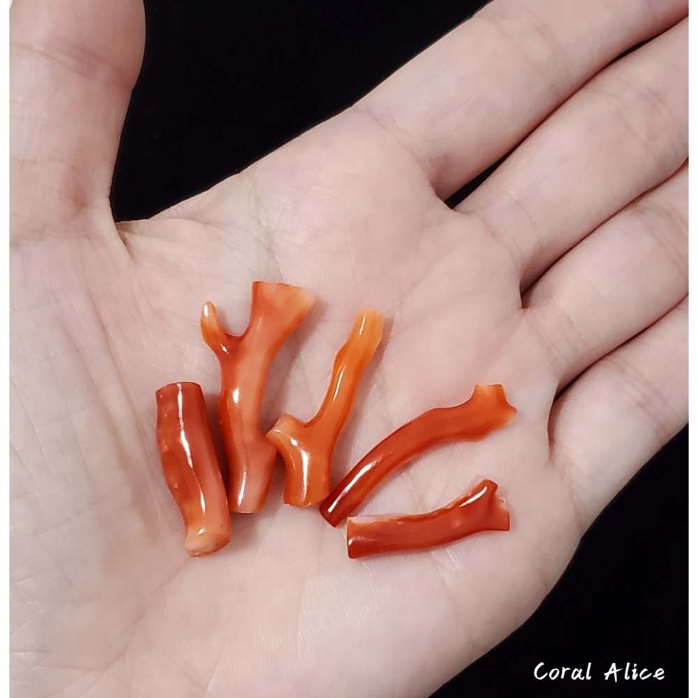 🌟Coral珊寶手作-天然阿卡珊瑚自然枝(無孔) CO2P1-995-細節圖8