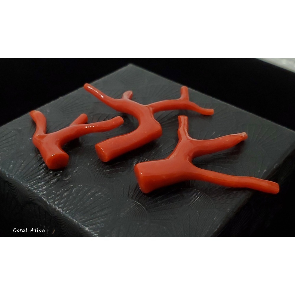 🌟Coral珊寶手作-天然沙丁珊瑚/地中海珊瑚/紅珊瑚自然枝 CO2P1-996-細節圖2