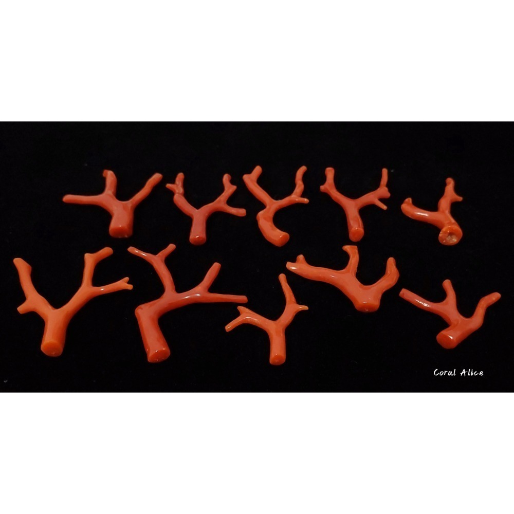 🌟Coral珊寶手作-天然沙丁珊瑚/地中海珊瑚/紅珊瑚自然枝 CO2P1-996-細節圖4