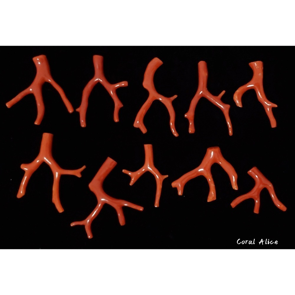 🌟Coral珊寶手作-天然沙丁珊瑚/地中海珊瑚/紅珊瑚自然枝 CO2P1-996-細節圖5