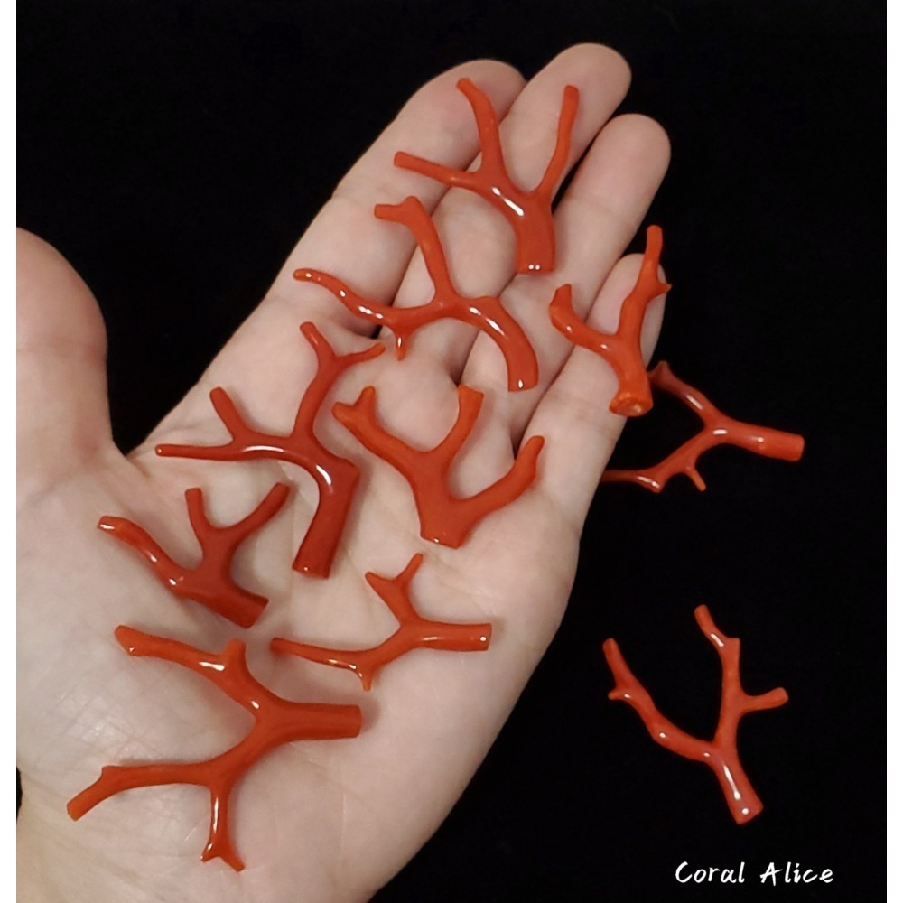 🌟Coral珊寶手作-天然沙丁珊瑚/地中海珊瑚/紅珊瑚自然枝 CO2P1-996-細節圖8