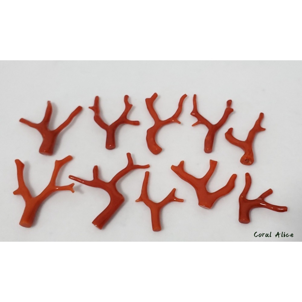 🌟Coral珊寶手作-天然沙丁珊瑚/地中海珊瑚/紅珊瑚自然枝 CO2P1-996-細節圖9