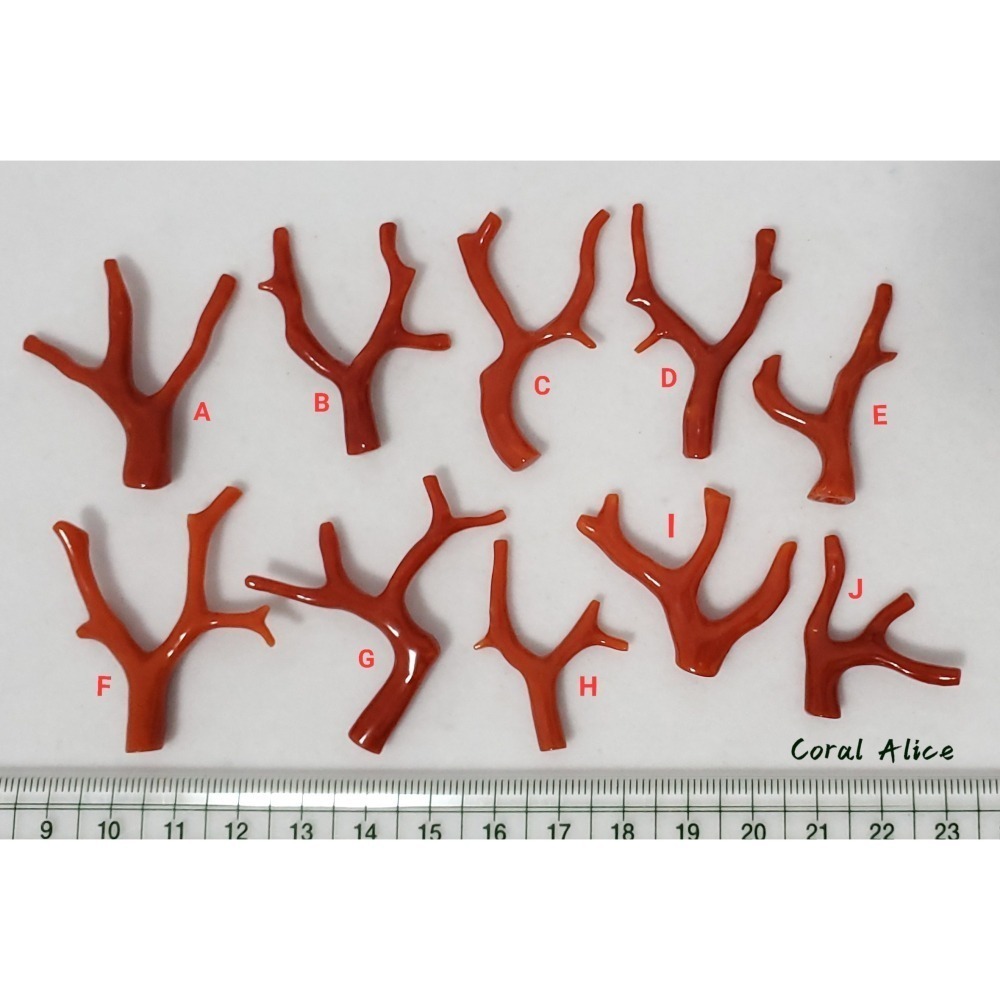 🌟Coral珊寶手作-天然沙丁珊瑚/地中海珊瑚/紅珊瑚自然枝 CO2P1-996-細節圖10