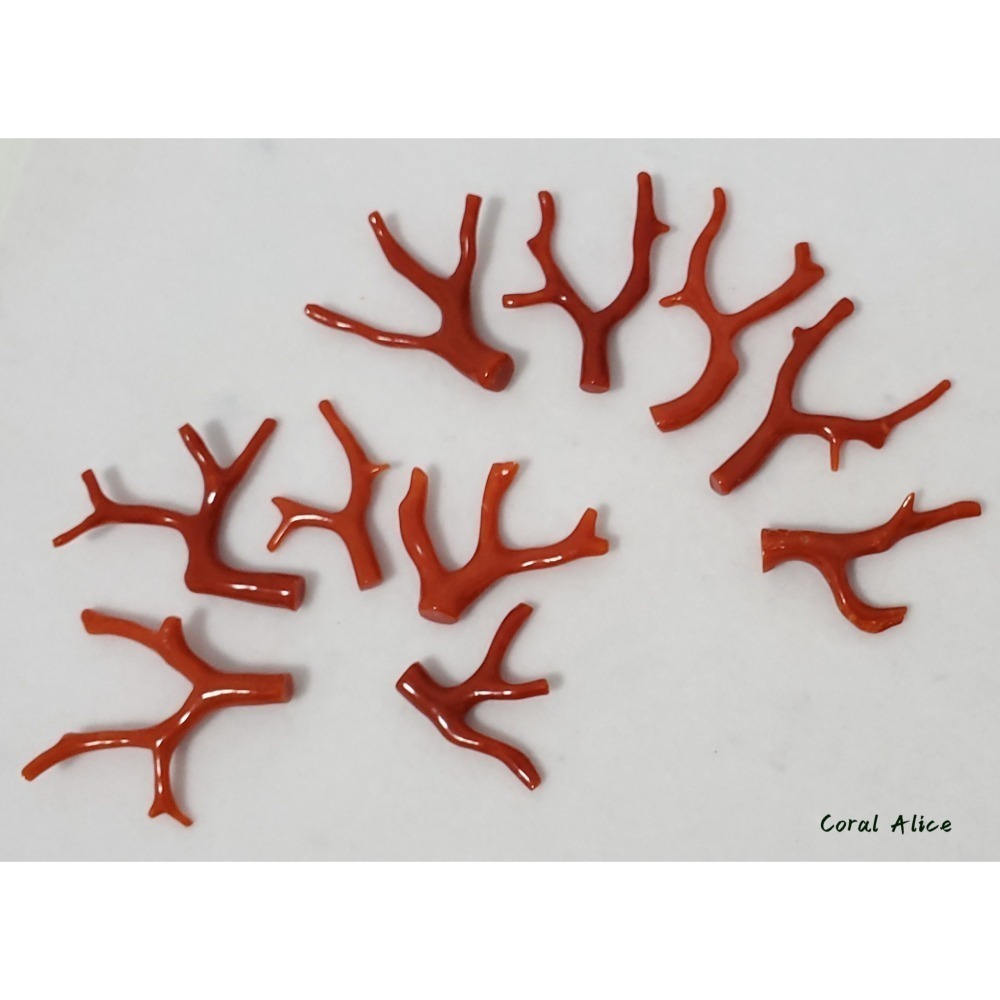 🌟Coral珊寶手作-天然沙丁珊瑚/地中海珊瑚/紅珊瑚自然枝 CO2P1-996-細節圖11