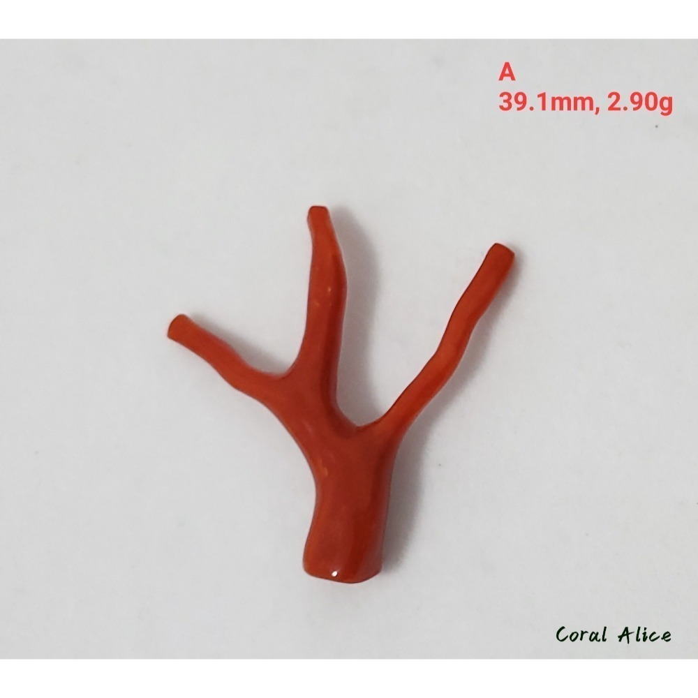 🌟Coral珊寶手作-天然沙丁珊瑚/地中海珊瑚/紅珊瑚自然枝 CO2P1-996-規格圖11