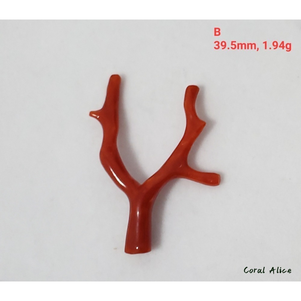 🌟Coral珊寶手作-天然沙丁珊瑚/地中海珊瑚/紅珊瑚自然枝 CO2P1-996-規格圖11