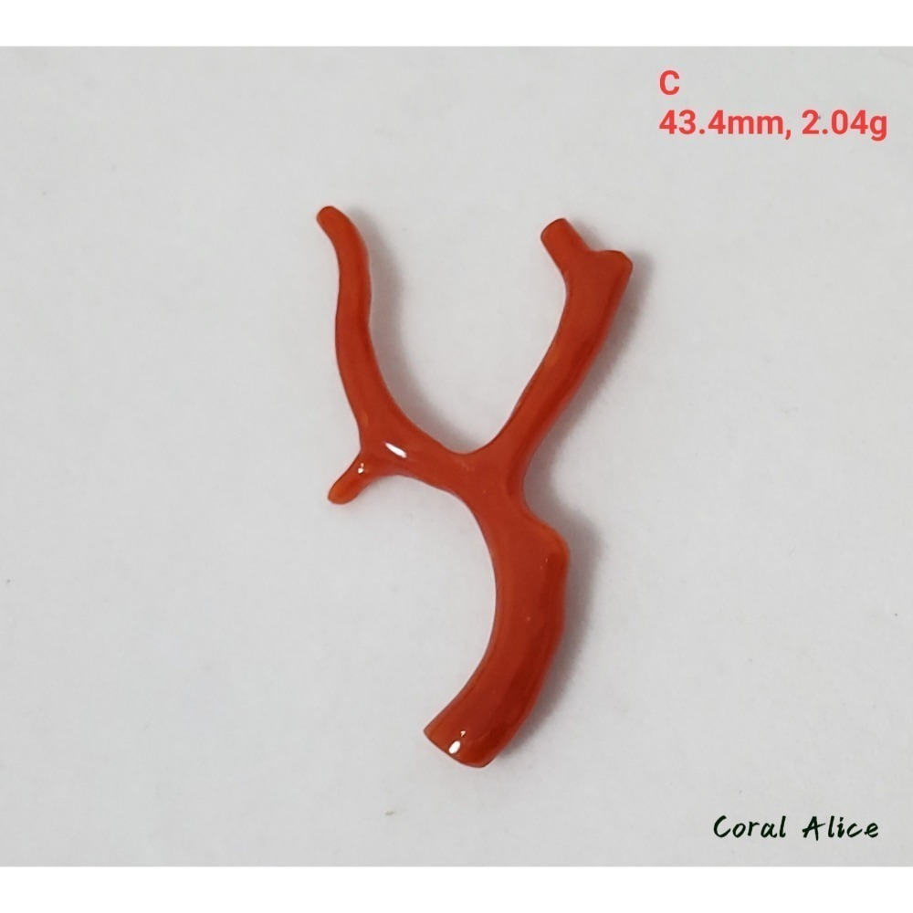🌟Coral珊寶手作-天然沙丁珊瑚/地中海珊瑚/紅珊瑚自然枝 CO2P1-996-規格圖11