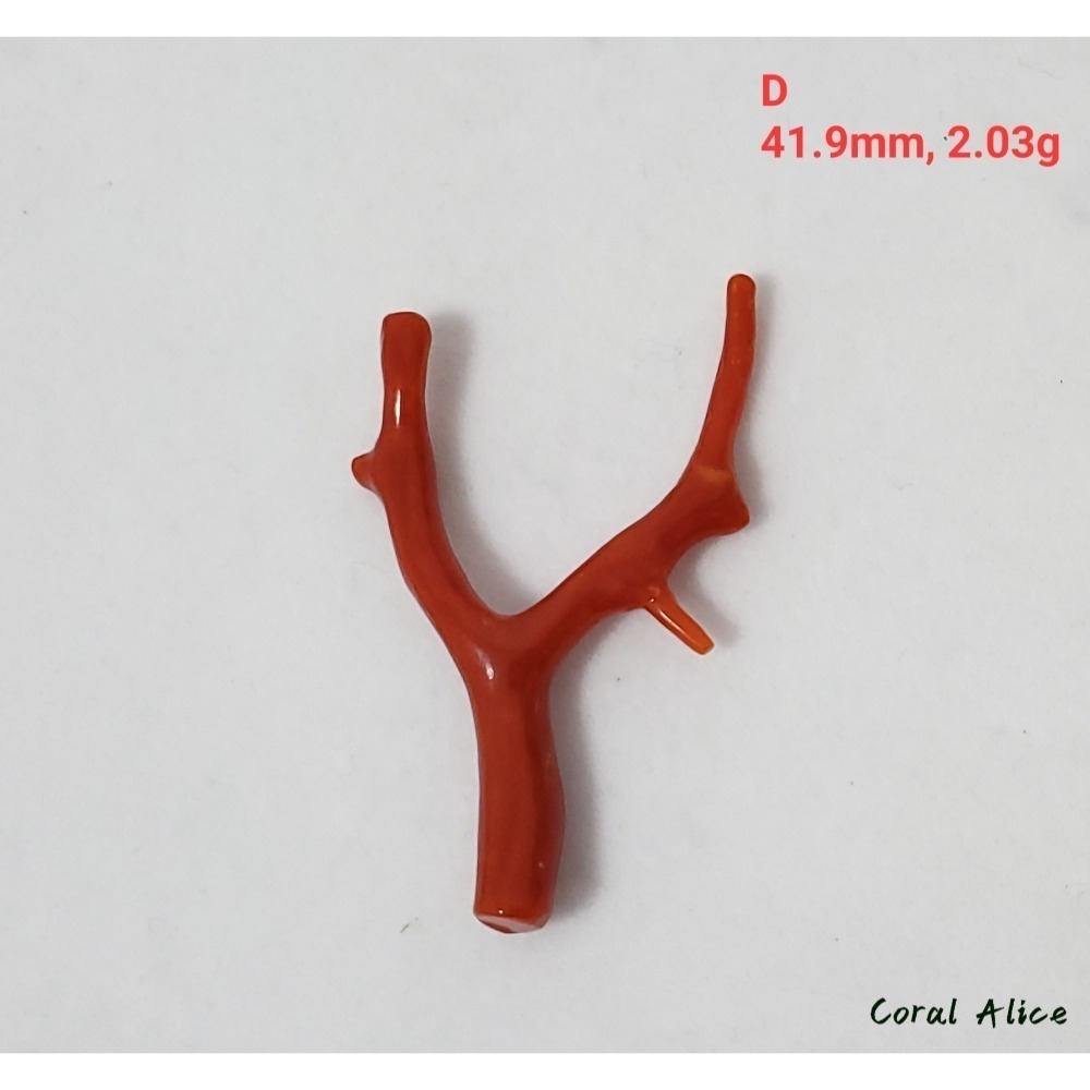 🌟Coral珊寶手作-天然沙丁珊瑚/地中海珊瑚/紅珊瑚自然枝 CO2P1-996-規格圖11