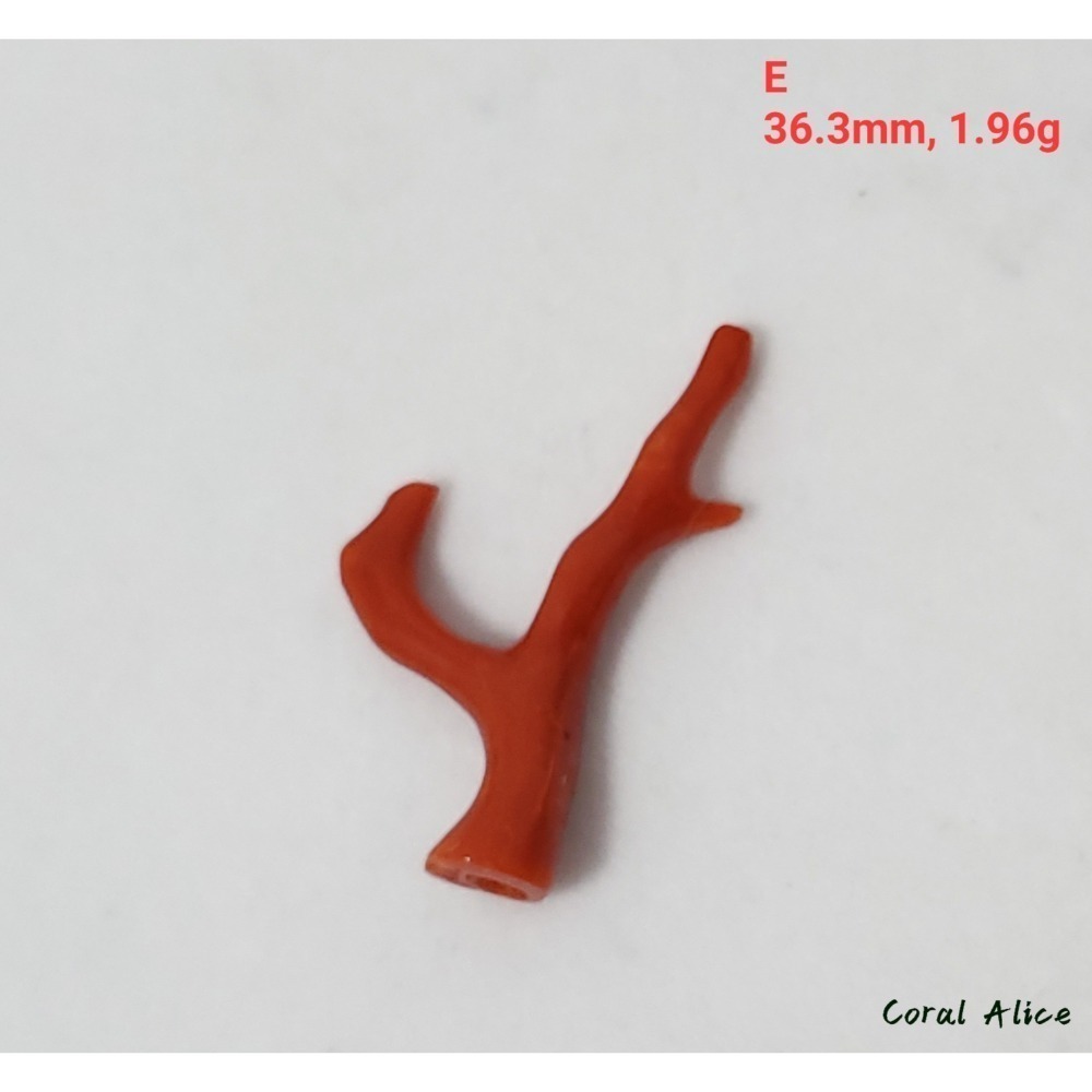 🌟Coral珊寶手作-天然沙丁珊瑚/地中海珊瑚/紅珊瑚自然枝 CO2P1-996-規格圖11