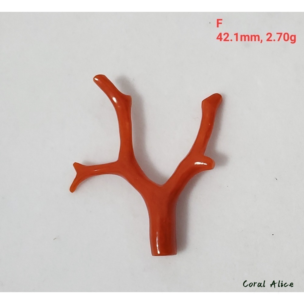 🌟Coral珊寶手作-天然沙丁珊瑚/地中海珊瑚/紅珊瑚自然枝 CO2P1-996-規格圖11
