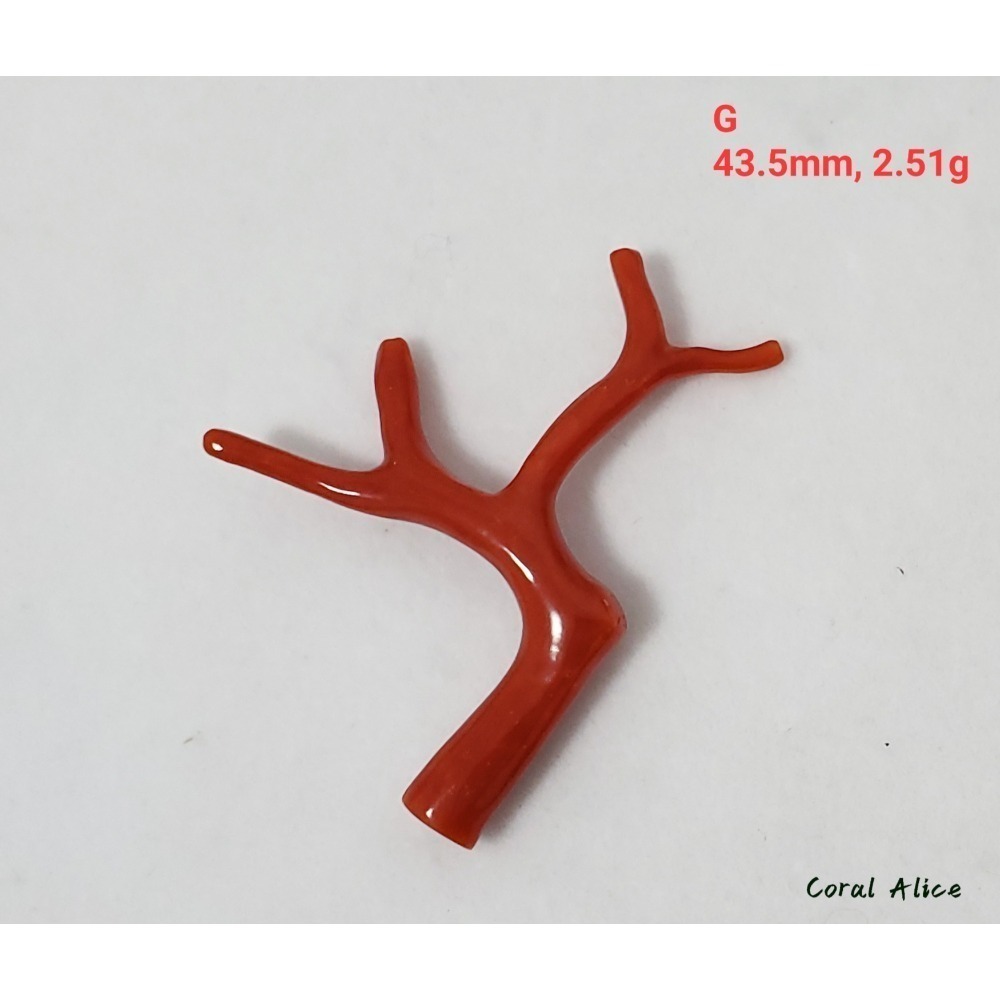 🌟Coral珊寶手作-天然沙丁珊瑚/地中海珊瑚/紅珊瑚自然枝 CO2P1-996-規格圖11