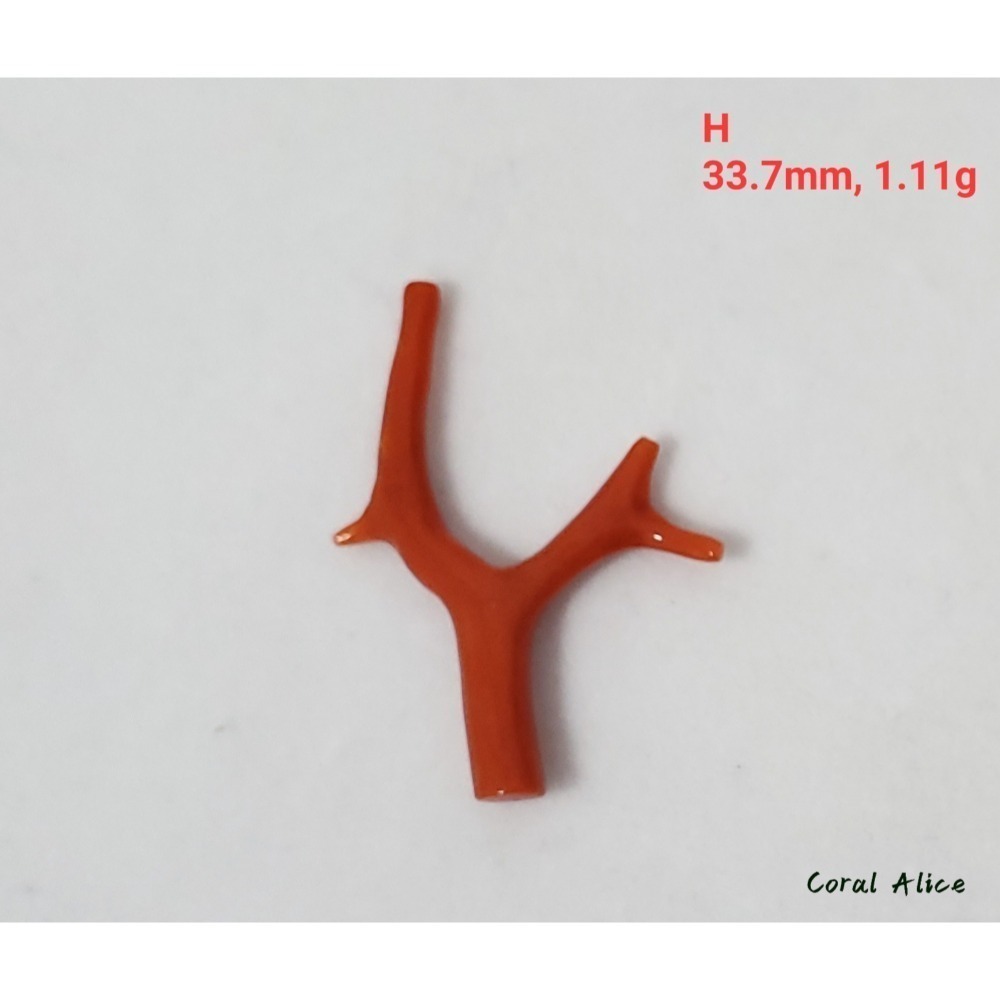 🌟Coral珊寶手作-天然沙丁珊瑚/地中海珊瑚/紅珊瑚自然枝 CO2P1-996-規格圖11