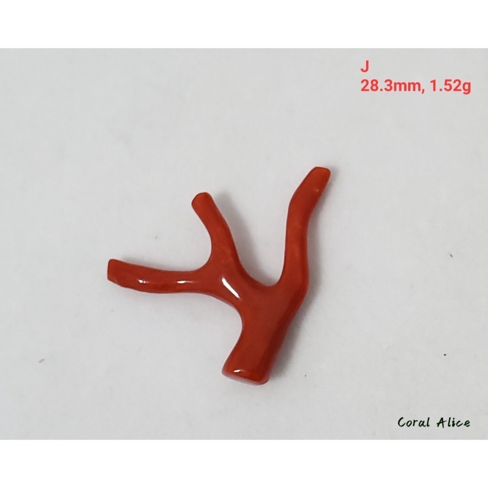 🌟Coral珊寶手作-天然沙丁珊瑚/地中海珊瑚/紅珊瑚自然枝 CO2P1-996-規格圖11