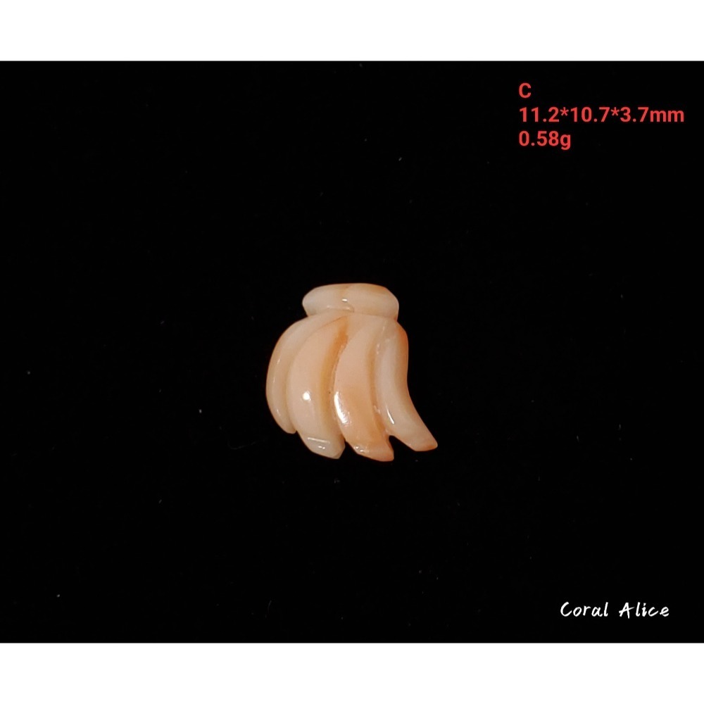 🌟Coral珊寶手作-天然珊瑚手工雕刻造型裸石 CO2P1-998-規格圖10