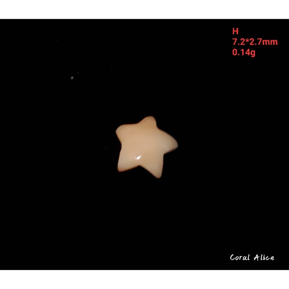 🌟Coral珊寶手作-天然珊瑚手工雕刻造型裸石 CO2P1-998-規格圖10