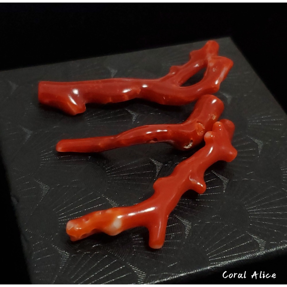 🌟Coral珊寶手作-天然阿卡珊瑚自然枝(無孔) 42.4-51.9mm CO2P1-256-細節圖2