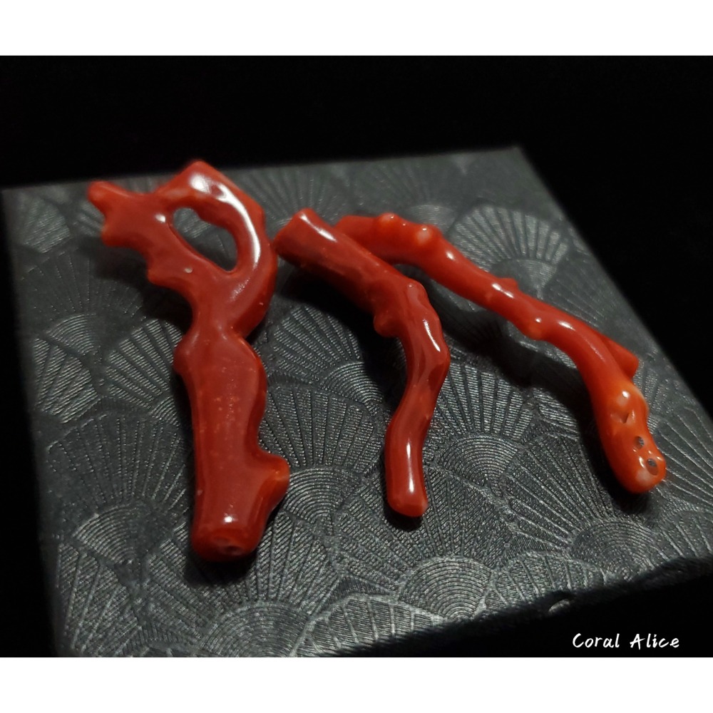 🌟Coral珊寶手作-天然阿卡珊瑚自然枝(無孔) 42.4-51.9mm CO2P1-256-細節圖3