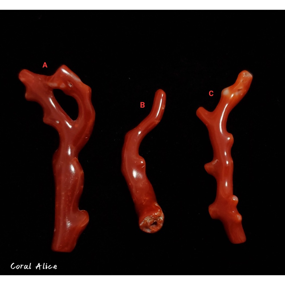 🌟Coral珊寶手作-天然阿卡珊瑚自然枝(無孔) 42.4-51.9mm CO2P1-256-細節圖4