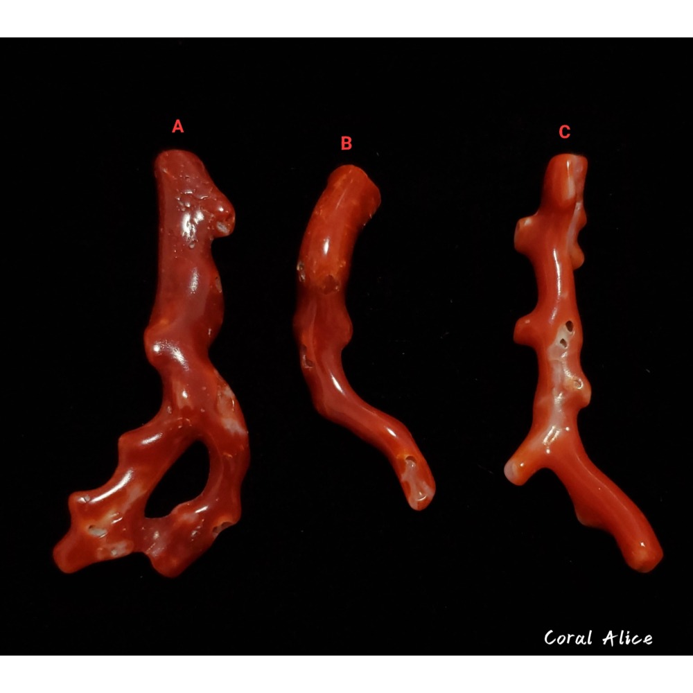 🌟Coral珊寶手作-天然阿卡珊瑚自然枝(無孔) 42.4-51.9mm CO2P1-256-細節圖5