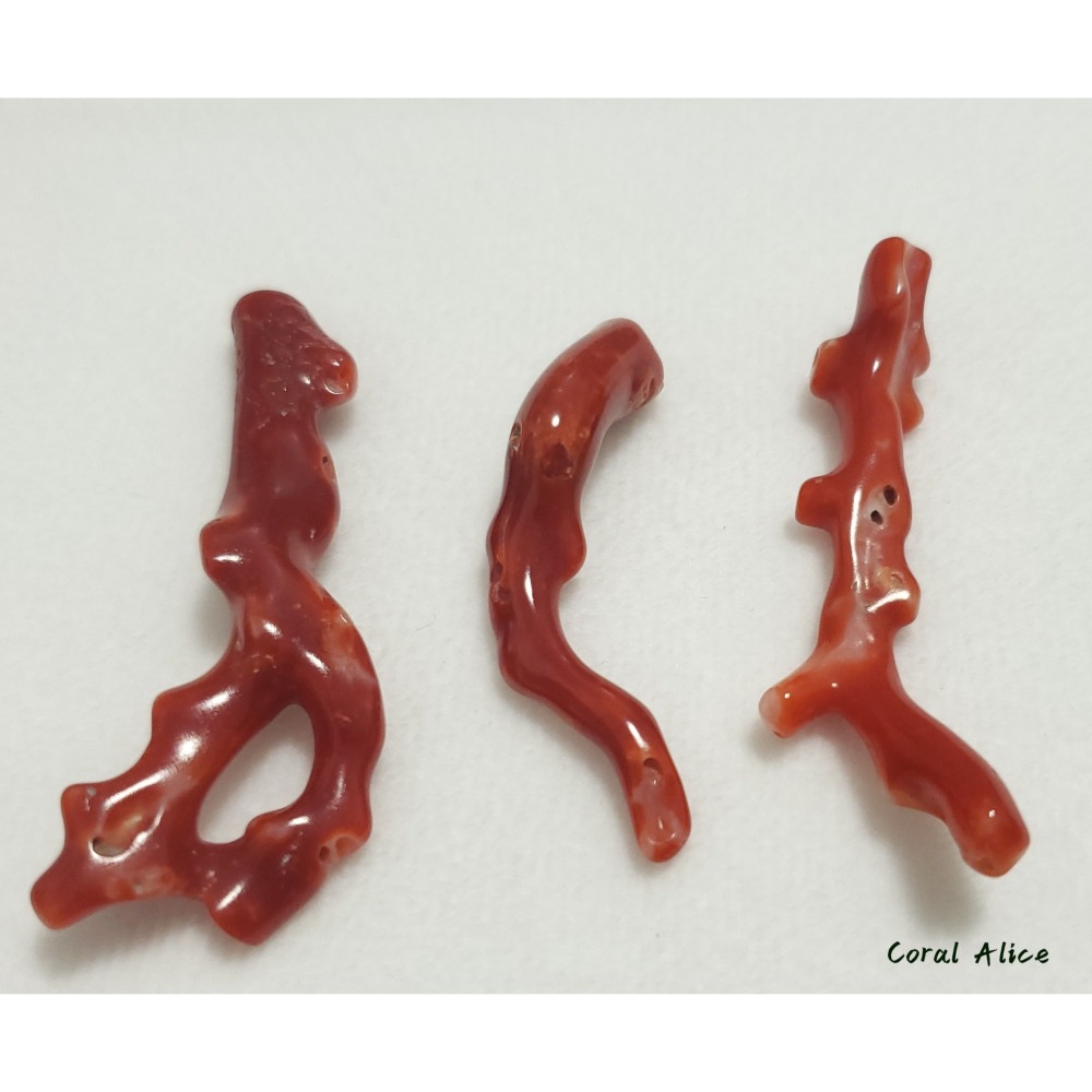 🌟Coral珊寶手作-天然阿卡珊瑚自然枝(無孔) 42.4-51.9mm CO2P1-256-細節圖8