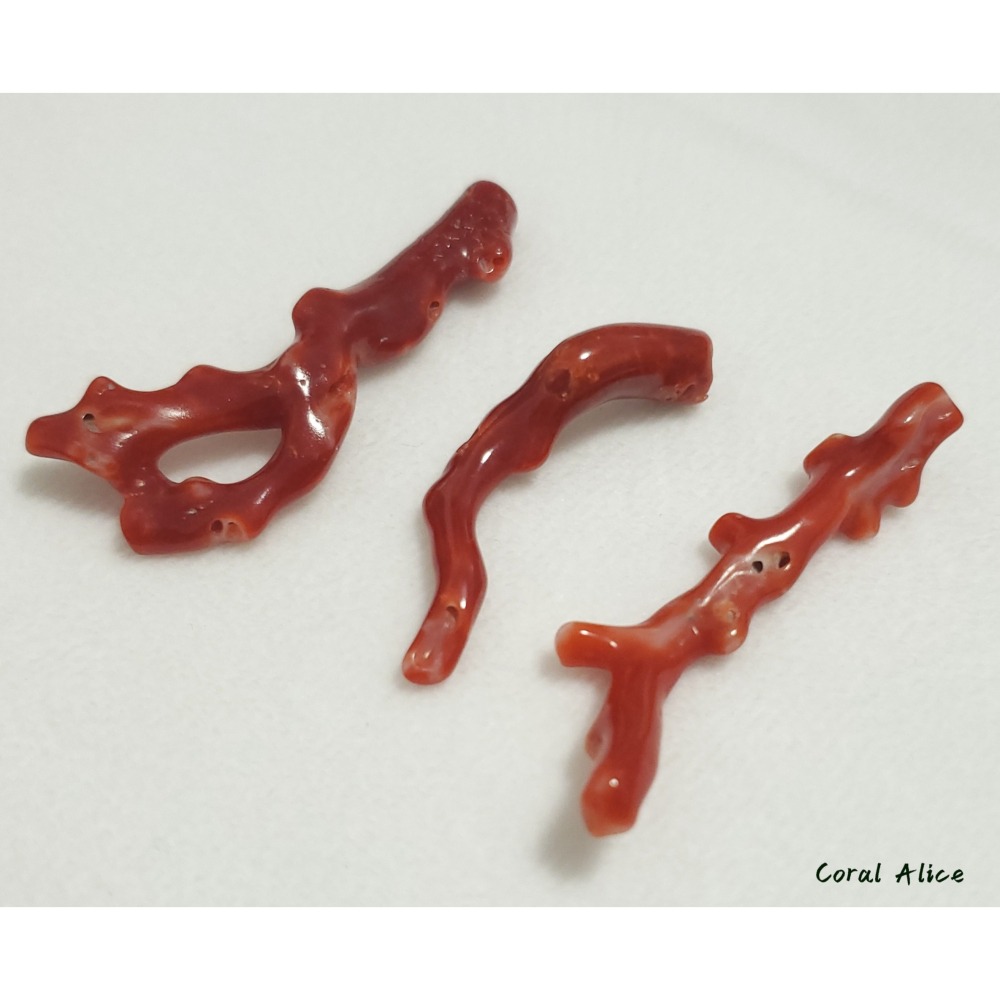 🌟Coral珊寶手作-天然阿卡珊瑚自然枝(無孔) 42.4-51.9mm CO2P1-256-細節圖9
