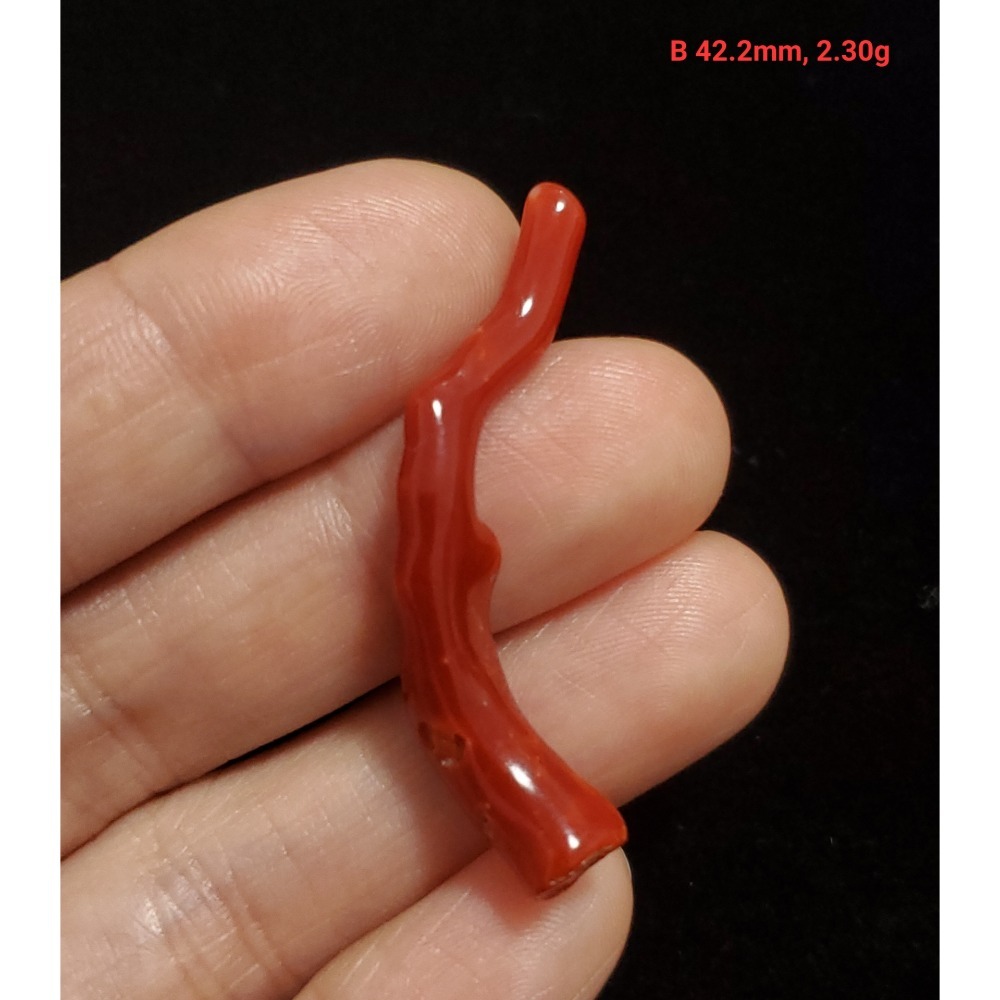🌟Coral珊寶手作-天然阿卡珊瑚自然枝(無孔) 42.4-51.9mm CO2P1-256-規格圖11
