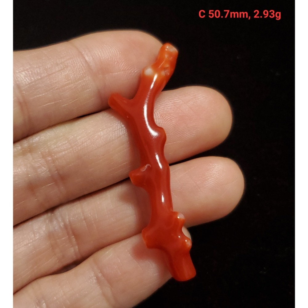 🌟Coral珊寶手作-天然阿卡珊瑚自然枝(無孔) 42.4-51.9mm CO2P1-256-規格圖11