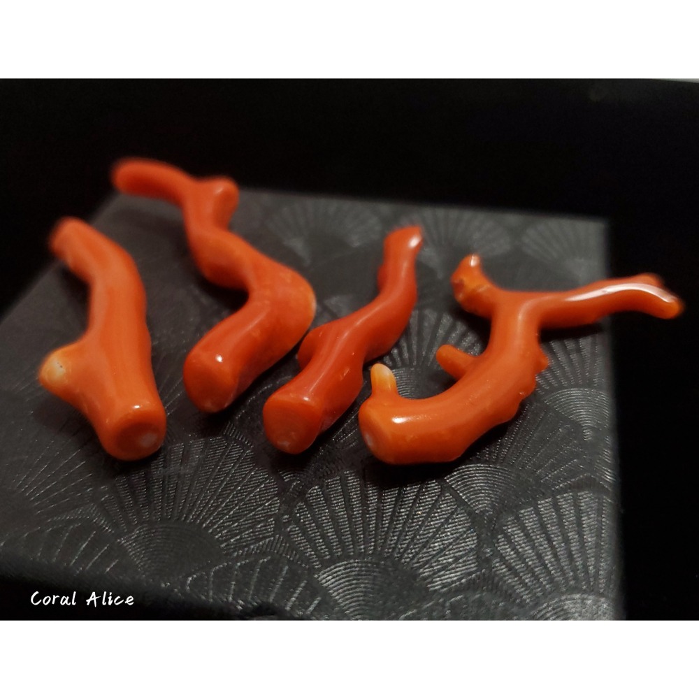 🌟Coral珊寶手作-天然阿卡珊瑚/momo珊瑚自然枝(無孔) 38.6-54.3mm CO2P1-255-細節圖2