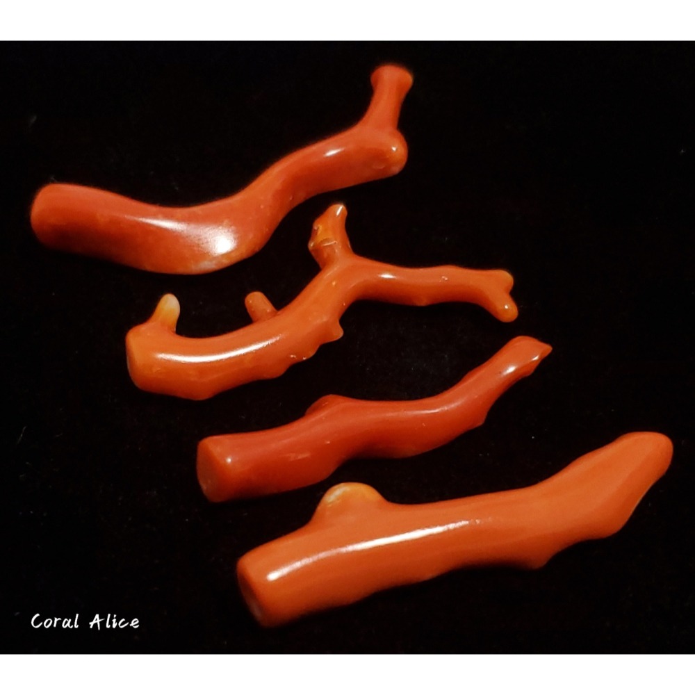 🌟Coral珊寶手作-天然阿卡珊瑚/momo珊瑚自然枝(無孔) 38.6-54.3mm CO2P1-255-細節圖4