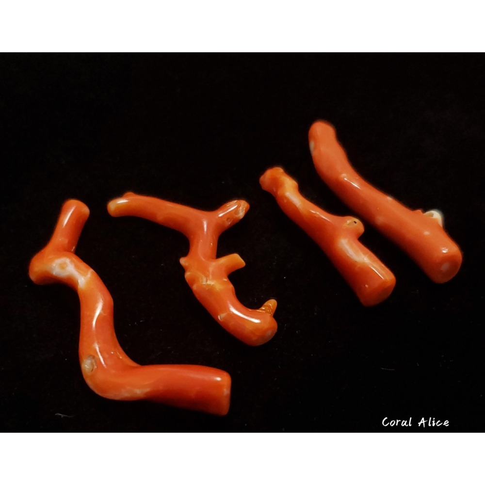 🌟Coral珊寶手作-天然阿卡珊瑚/momo珊瑚自然枝(無孔) 38.6-54.3mm CO2P1-255-細節圖6