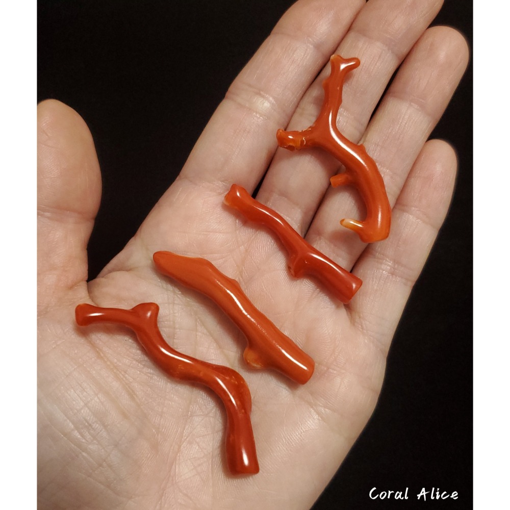 🌟Coral珊寶手作-天然阿卡珊瑚/momo珊瑚自然枝(無孔) 38.6-54.3mm CO2P1-255-細節圖7