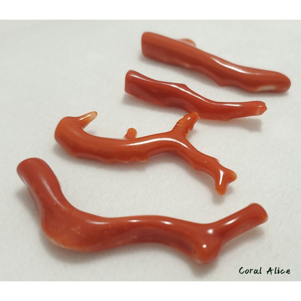 🌟Coral珊寶手作-天然阿卡珊瑚/momo珊瑚自然枝(無孔) 38.6-54.3mm CO2P1-255-細節圖9