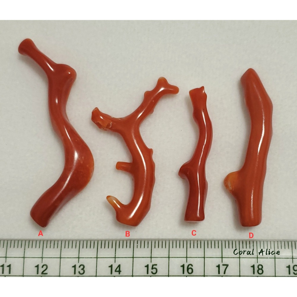 🌟Coral珊寶手作-天然阿卡珊瑚/momo珊瑚自然枝(無孔) 38.6-54.3mm CO2P1-255-細節圖10