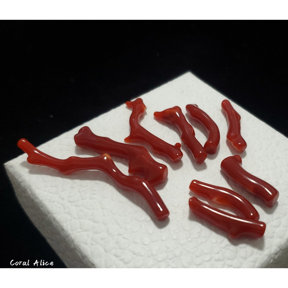 🌟Coral珊寶手作-天然阿卡珊瑚自然枝(無孔) 19.6-49.9mm CO2P1-257-細節圖2