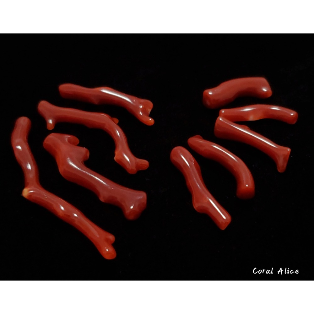 🌟Coral珊寶手作-天然阿卡珊瑚自然枝(無孔) 19.6-49.9mm CO2P1-257-細節圖4