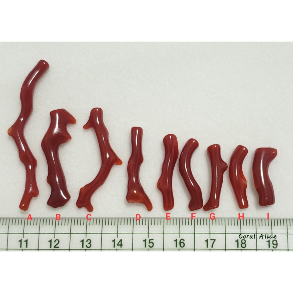 🌟Coral珊寶手作-天然阿卡珊瑚自然枝(無孔) 19.6-49.9mm CO2P1-257-細節圖10