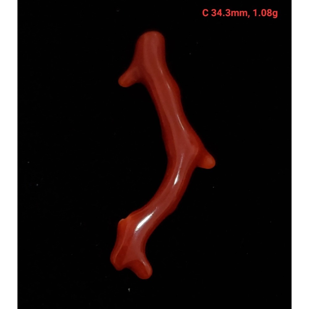 🌟Coral珊寶手作-天然阿卡珊瑚自然枝(無孔) 19.6-49.9mm CO2P1-257-規格圖10