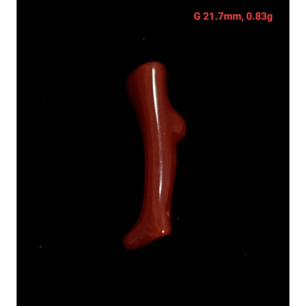🌟Coral珊寶手作-天然阿卡珊瑚自然枝(無孔) 19.6-49.9mm CO2P1-257-規格圖10