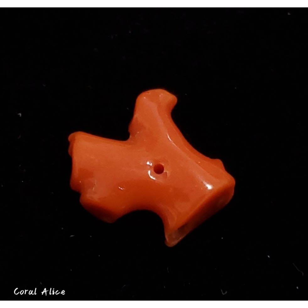 🌟Coral珊寶手作-天然阿卡珊瑚自然枝塊(中間直通孔) 17.1*16.5*7.2mm CO2P1-258-細節圖2